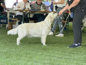 IMG_1231