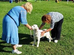 00612413-b72e-4f07-bf60-97c67f8dcb05