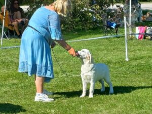 015166f9-9ffc-4542-a42e-761813571720