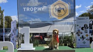 15ac179f-e005-4c73-af0e-c9cee44f5b73