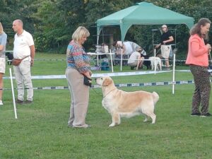 1c8bc9c1-9174-4ec4-9296-cfcaa667d7ae