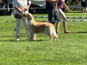 550533777_1586610772305133_3215979414332098378_n