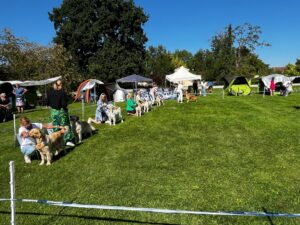 5c527206-6e0d-40ca-b626-909c1f93314e