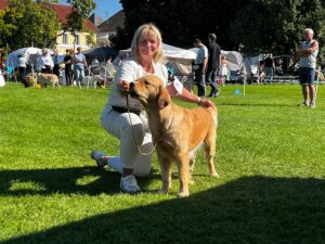 638058f2-271a-4a9c-b8b2-15dacf6acf16