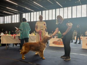 6e11bfcf-e7a3-49ca-8962-fd541273f304