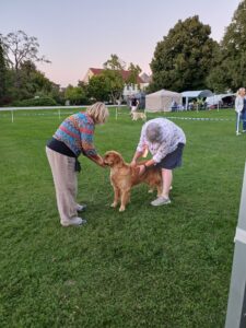 882fd65a-58db-48d6-9c76-4bd500bf3134