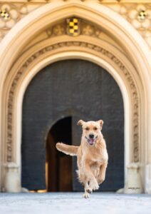 WhatsApp Image 2025-09-23 at 19.33.44