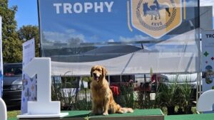 a16a6360-f631-4a8d-955a-15a1d3a6b2a5