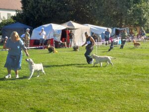 a4e06ce1-5bcd-4d41-aeba-9ce285ab8a41