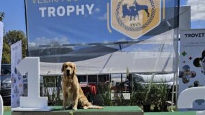 a748c572-5f22-40e2-a9e5-bc575a4d4db1