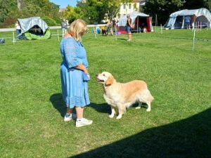 a9ecd463-f271-449c-873e-f706a8005b76