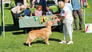 ba53b1cd-f284-4d9b-99ac-515b9dca50e5