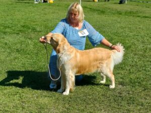 be473244-a5f2-4e97-a370-dc34b964d6c3