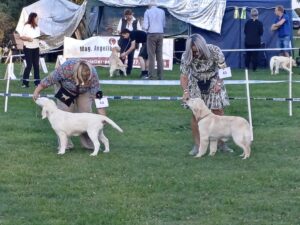 c65ae74c-3c2a-446c-9f75-69edc8de1e92