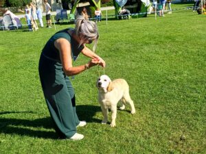 cecf8c4a-ca0a-42d6-bcef-9ffe8ab088f7