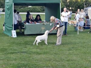 d5aefced-edb1-4ec2-ac83-1ecf523679df