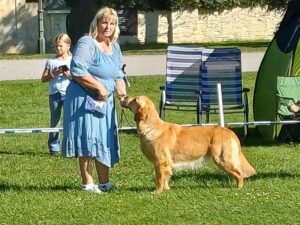 dc94e72d-608f-453d-82c5-aaac7f22bb2f