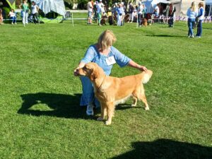 e69dff71-49a9-49a7-a6e7-8907ce01104b