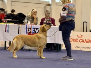 1bd1e860-aae3-49c8-885b-c7a46d969527