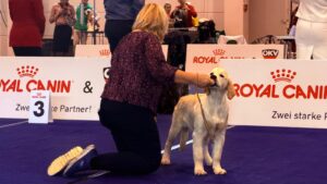 1f283730-0796-42b7-bb3d-31706f00e232