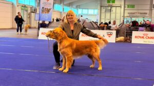 2965a4e5-7aaf-4ca6-9267-faaf02bdfed3