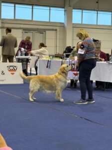 478b799c-53b0-4531-a783-e9befe40bd36