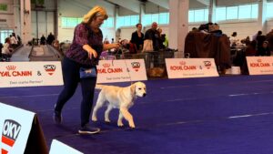 5855ee66-aaba-4101-b560-b25630029994