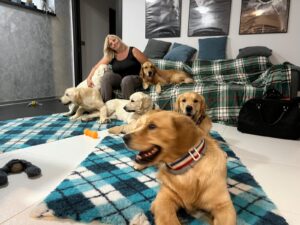 5ab6341d-3e5b-444e-b2d5-e29c920a387a