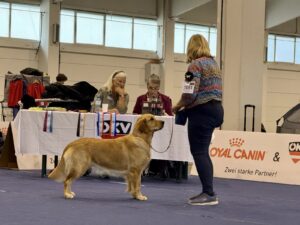 9e1390cf-65dc-48df-8b3f-3b8dc1c6f726