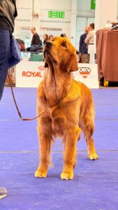 a7438459-a968-4251-9138-1abb1c6d3b5f