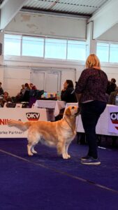 b1353b38-390c-4fc1-ad0b-005b61a67aa7