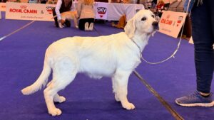 c066bdb2-3d05-4e1a-9af2-68be13e6d2f6