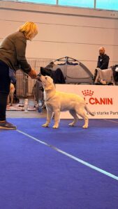 db6b5f79-06d9-4184-b535-f19779e2cfeb