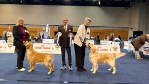 09334b13-f61b-48a6-8ed9-4d034aa2217d