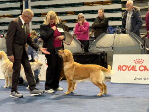 7cf6d2e8-ed0d-4e2c-a1fc-eece32624fb1