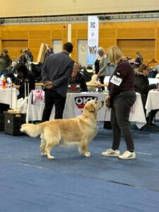 8516cb45-650e-48bd-b2c9-c44a8bb54254