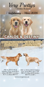 Carlos&Destiny10-Photoroom