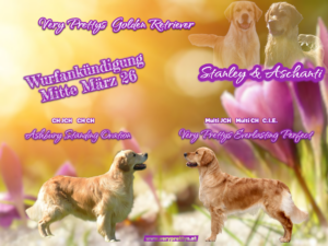 Stanley & Aschanti52-Photoroom