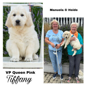 13E01B6F-7A67-4FAE-A703-12A9C15B7084