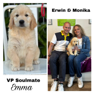 1604EBE7-F6BF-426F-9F20-973FEA8EF88C