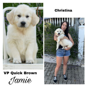 1F6B9CF9-64A9-441F-BCD1-717A85B2C640