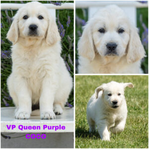 3AF1878E-4B17-4884-968B-4E263DF4C0DB