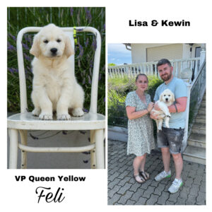 4B7424E3-5B95-4E9D-B79B-D7A6DAB1B224