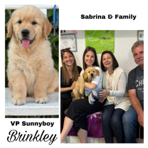 67D8F157-B215-4C8A-9D70-B23DACA9F40C