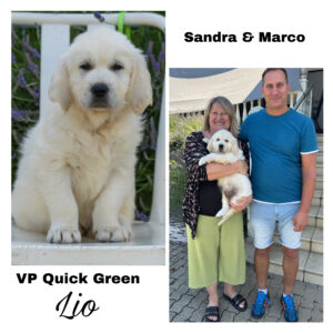 6A324D39-8E04-4D34-8ED1-E530532BC975