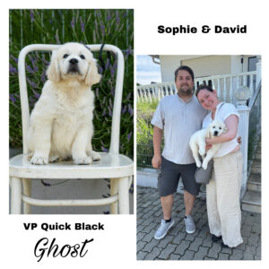 88C1A806-D757-4399-B963-FBAE846E5187