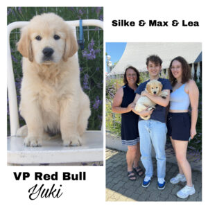 A591BBED-7BF1-491C-ACE9-5D0DAE238E80