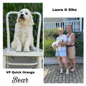 BF9ACD99-06FC-48F1-BEE6-BEA2509977EB