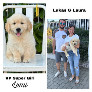 E920C26A-15E5-4E92-B222-56D073853188