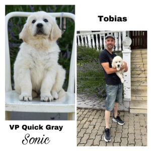 F7C5F53F-D691-4972-8232-5AE3C705FCAF